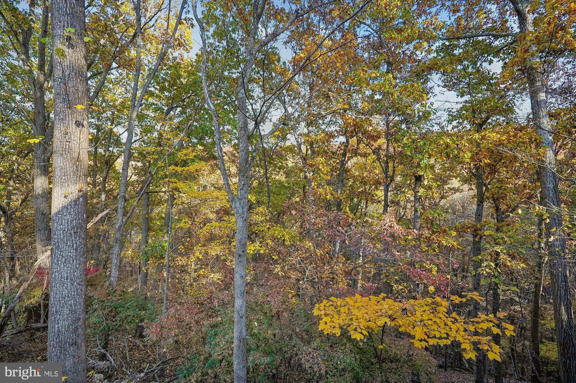 SHENANDOAH RETREAT - Residential