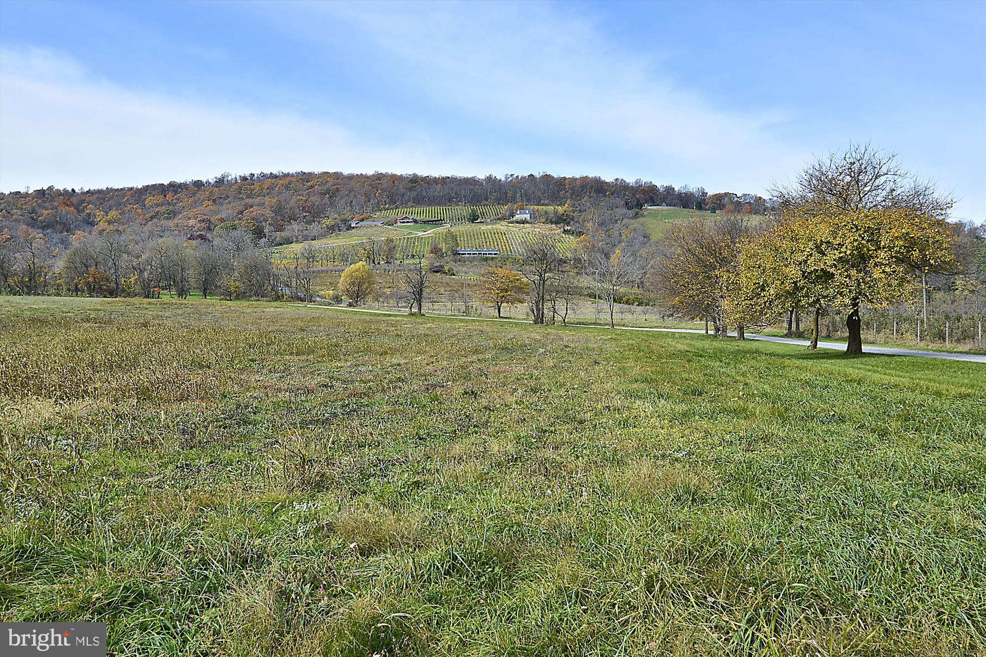 SHENANDOAH RETREAT - Residential