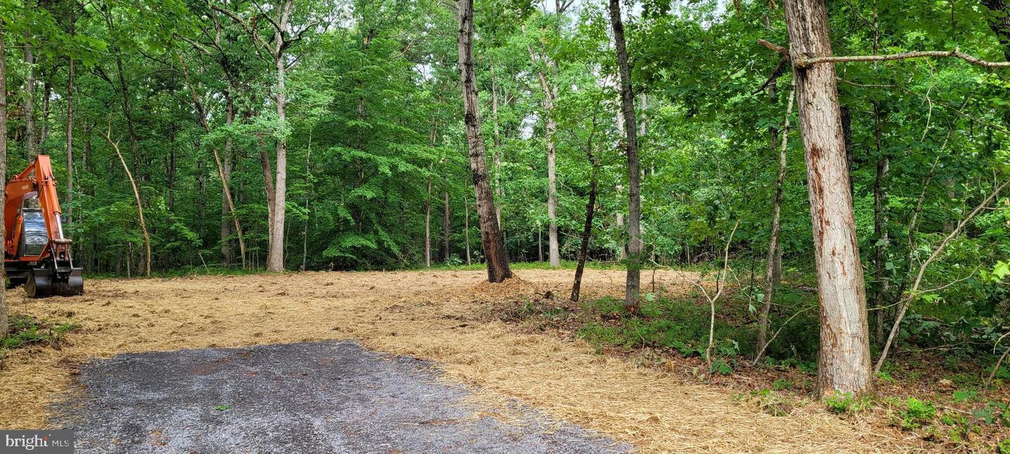 FRESHWATER ESTATES - Land