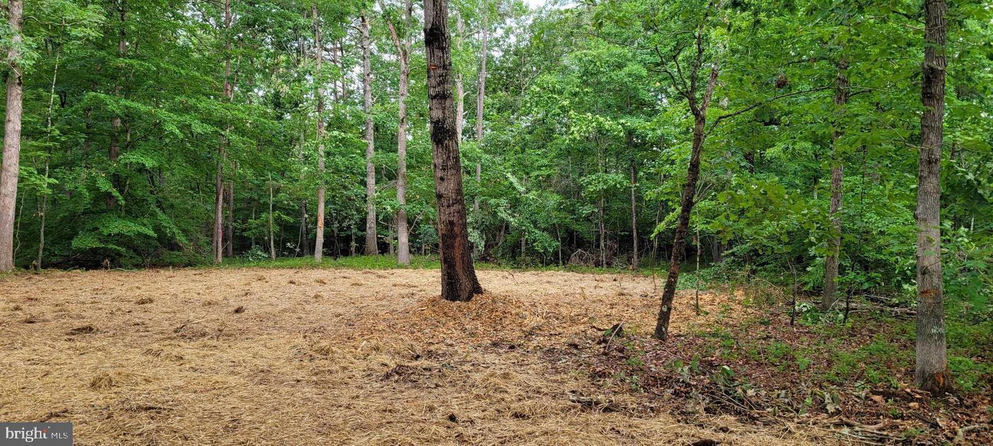 FRESHWATER ESTATES - Land