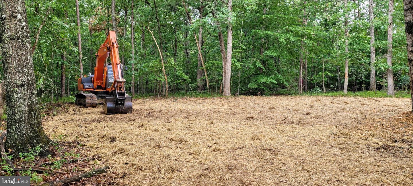 FRESHWATER ESTATES - Land