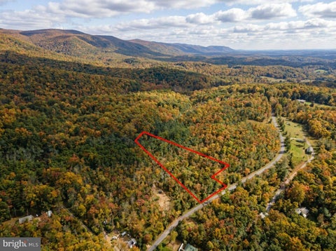 Vacant Land For Sale - Laurel Road<br/> Nelson County, SHIPMAN, VA 22971