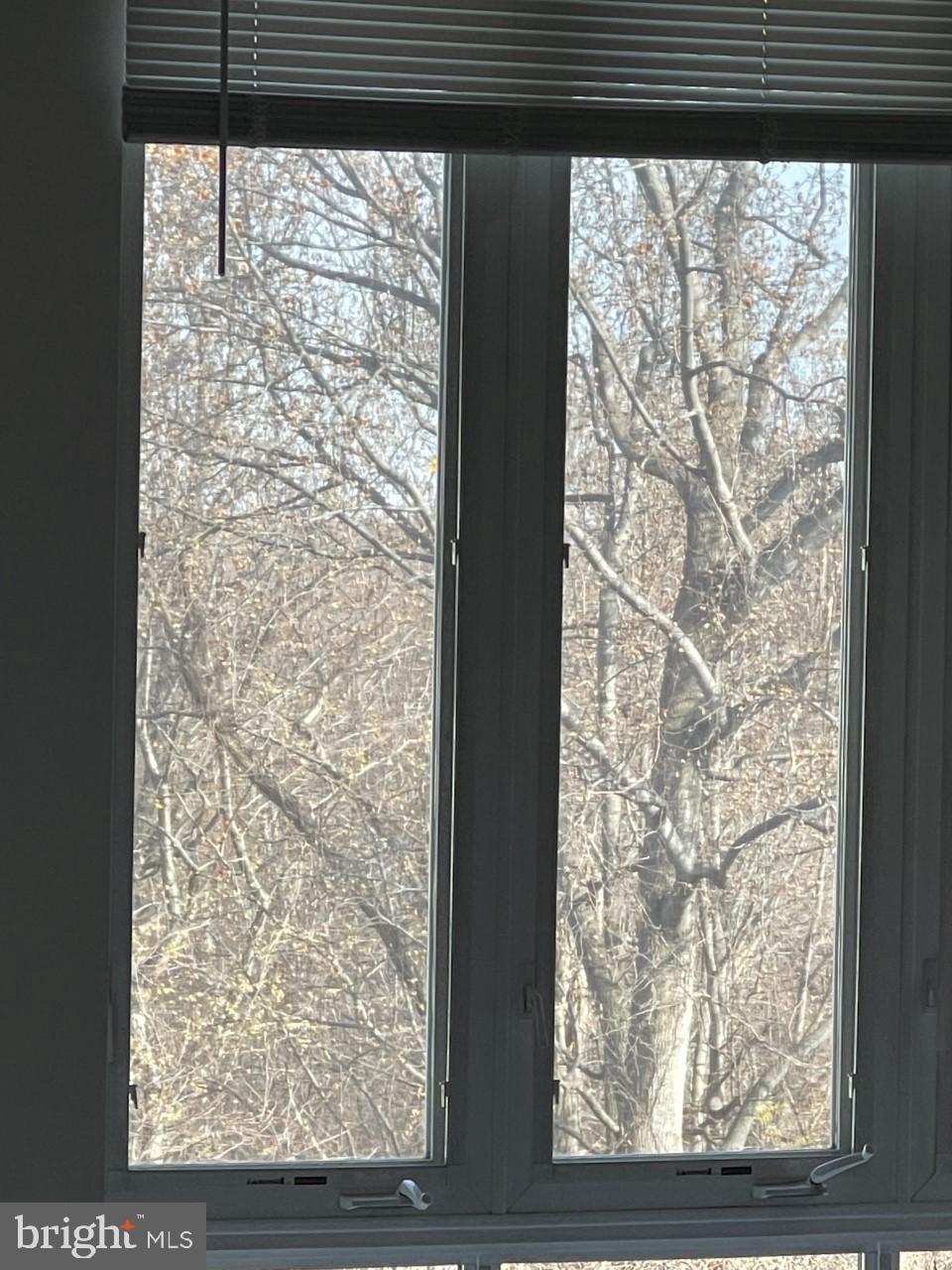 POTOMAC POINTE CONDOMINI - Residential Lease