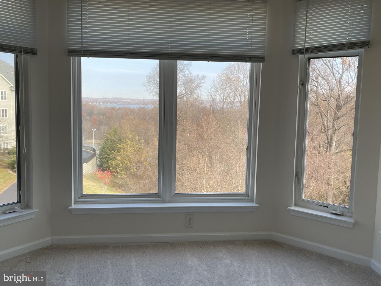 POTOMAC POINTE CONDOMINI - Residential Lease