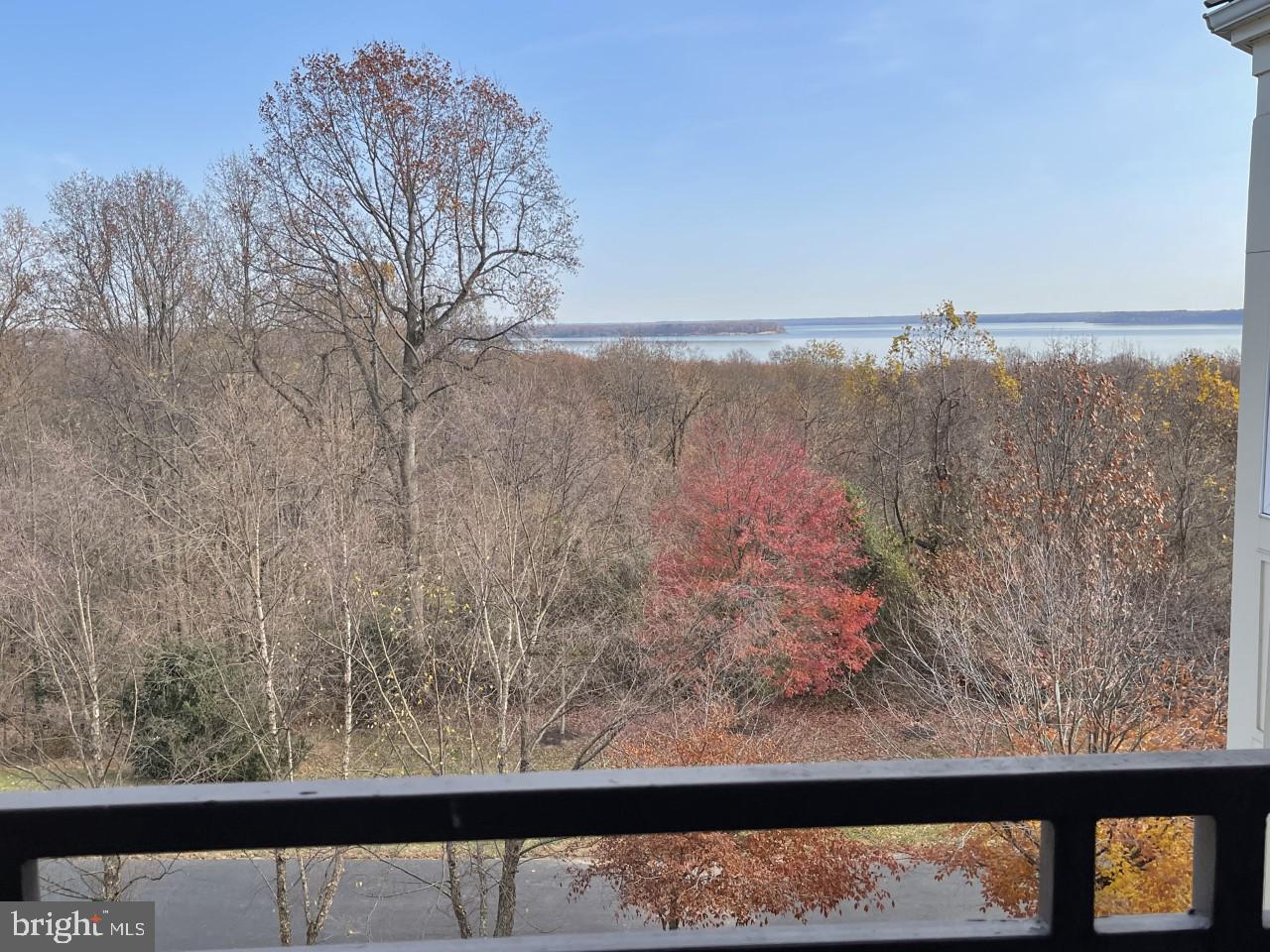 POTOMAC POINTE CONDOMINI - Residential Lease