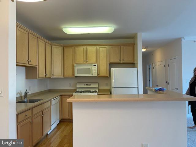 POTOMAC POINTE CONDOMINI - Residential Lease