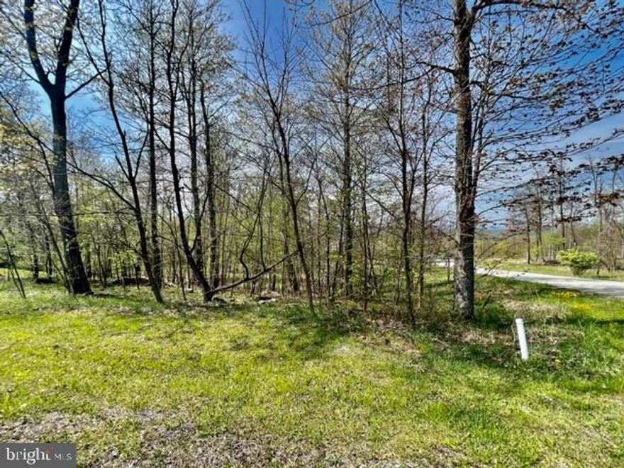 Wake up with the sun and hit the slopes at this mountaintop parcel with eastern exposure atop Wisp Ski Resort.  McHenry is the premier zip code when it comes to amenities at Deep Creek Lake.  Rain, sun or snow you are sure to be minutes away from your next adventure!  Walking distance to Slope access and Asci Whitewater adventure course.  Opportunities like this are growing ever more limited;  don’t miss out on owning your piece of paradise.  Whether it’s for investment, retirement, vacationing or living full time, this is sure to be a top consideration for anyone looking to enjoy all that Garrett County has to offer.  Home site has access to public utilities and has a paid ERU.  Reach out today to learn more!