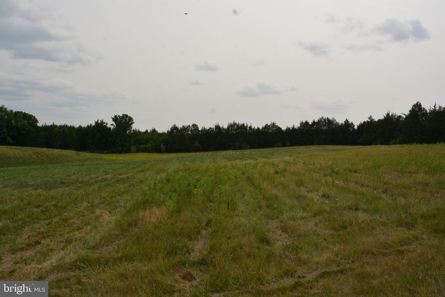 WATER, SEWER, GAS LINES WILL BORDER THE PROPERTY IN THE VERY NEAR FUTURE.  Frederick County Planning confirmed that this land is within the corridor that can be rezoned for Business uses. It is within the area where water and sewer extension has been approved.  It is very close to WalMart, Burger King, Murphy's Gas.  A few lots before the Tasker Rd intersection with Front Royal Pike (522S) with road frontage on the state highway.  The front half of the land is cleared.  Fairly rectangular with road width approx. 385', lot depth approx. 1,000 deep. Neighboring properties carry B2 Zoning. Level access off the highway.