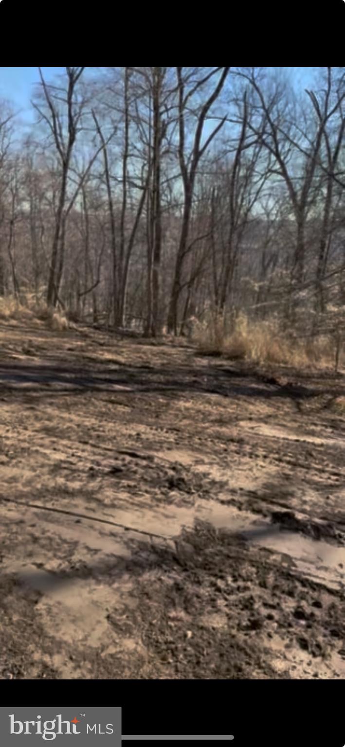 Great opportunity to build your new home on a 5 Acre lot in desirable Tredyffrin-Easttown School District. Site Plan available with building envelope.