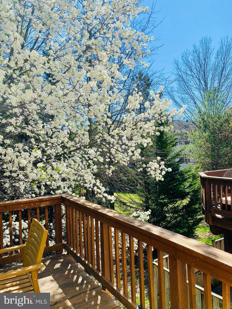 COPPERMILL - Residential Lease