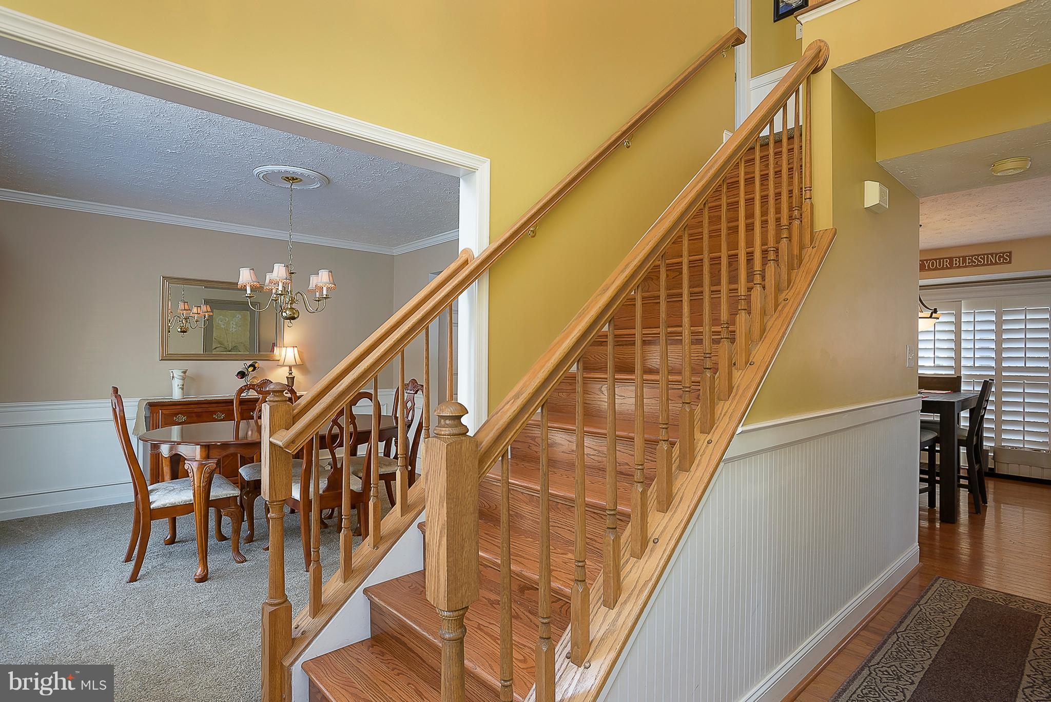 FOX CHASE - Residential