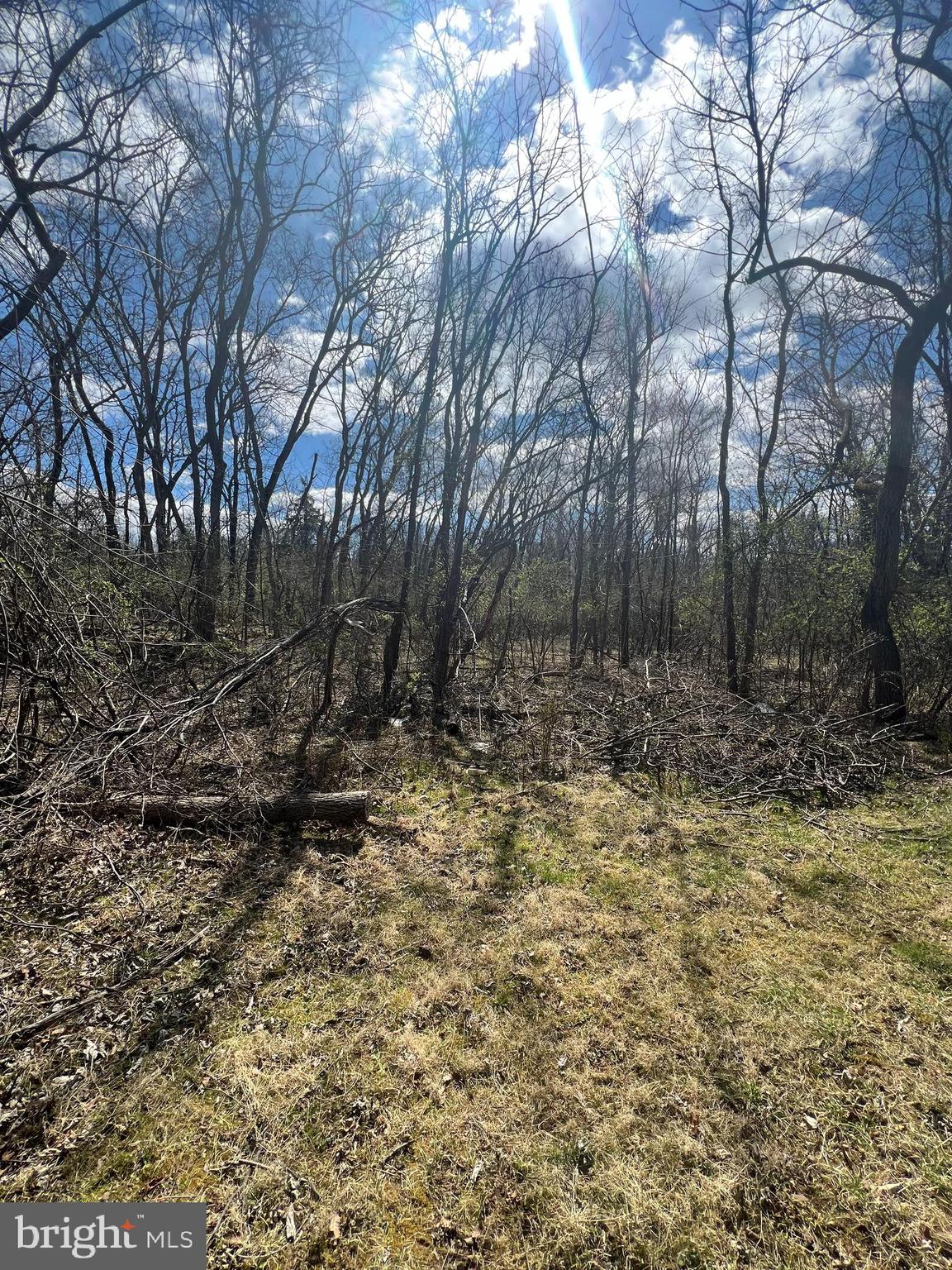 RIVERSIDE ACRES - Land