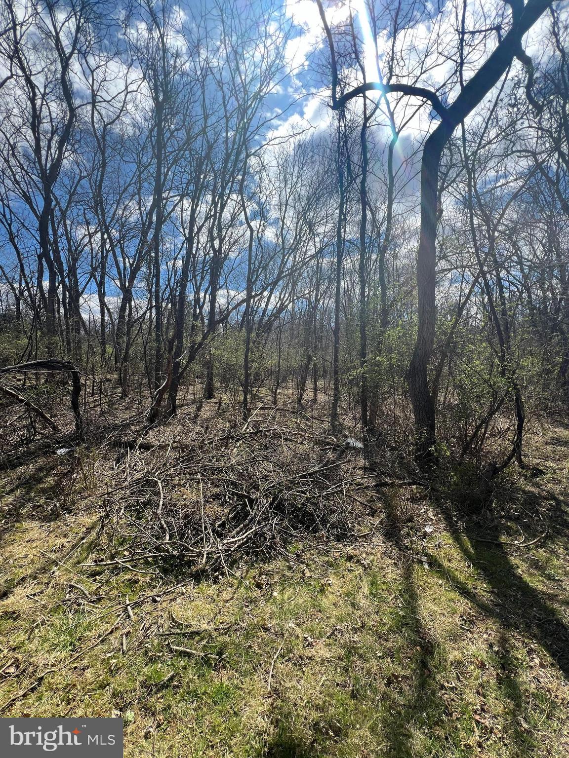 RIVERSIDE ACRES - Land