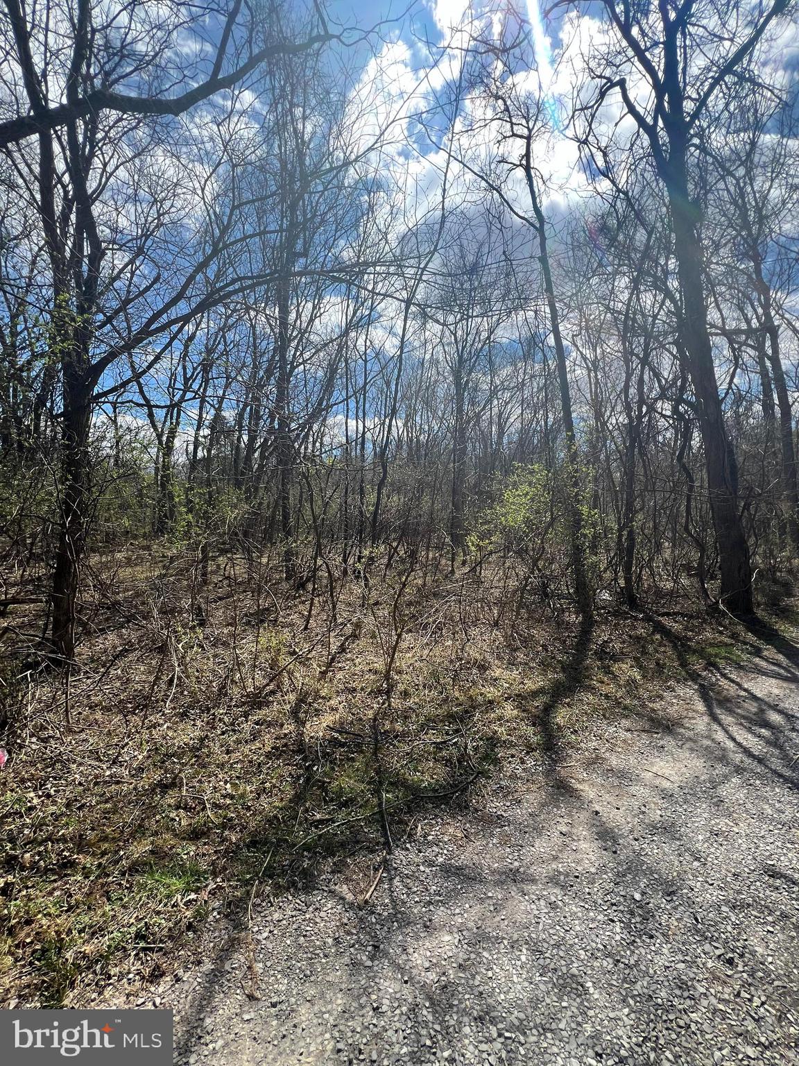 RIVERSIDE ACRES - Land