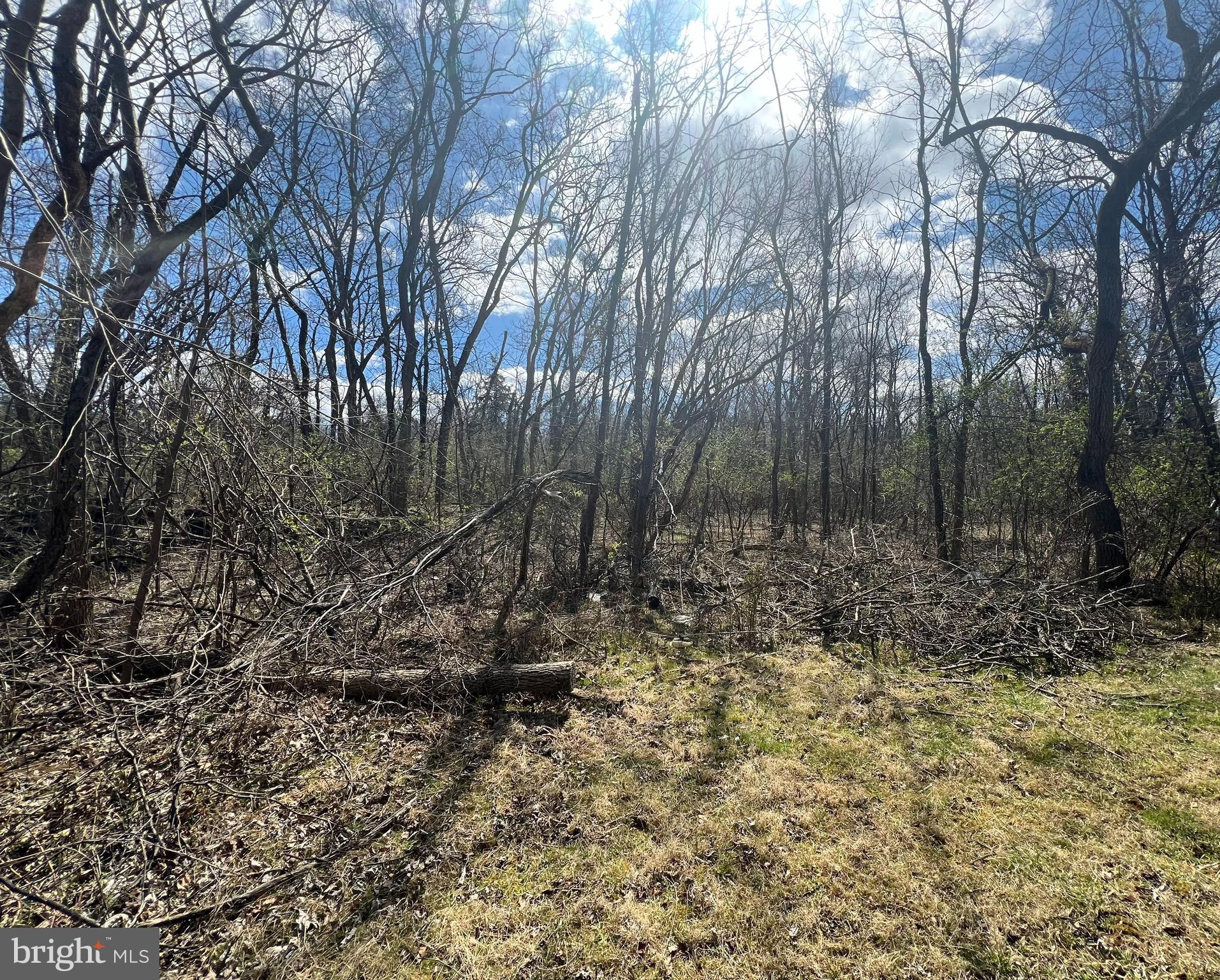 RIVERSIDE ACRES - Land