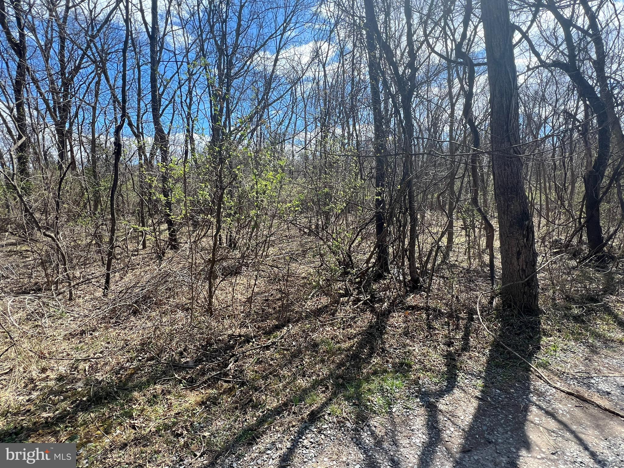 RIVERSIDE ACRES - Land