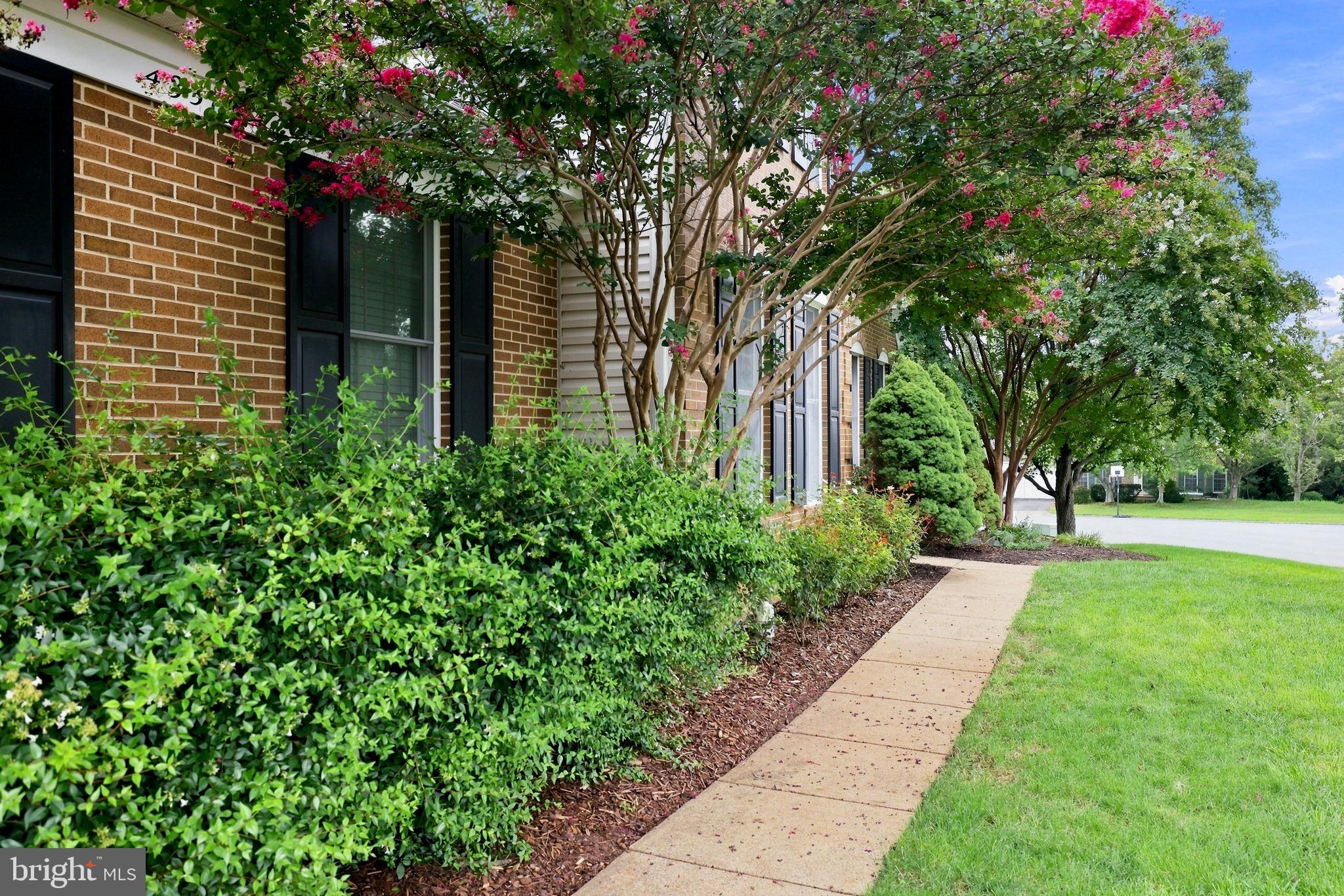 43312 WAYSIDE CIRCLE