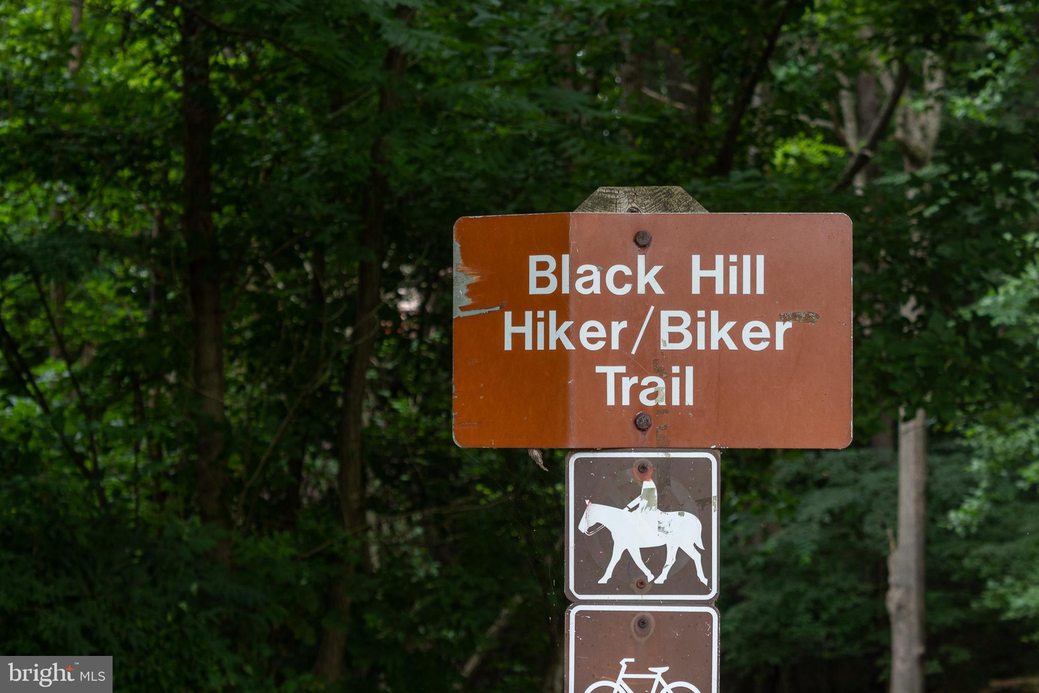 WATERS HOUSE - Residential