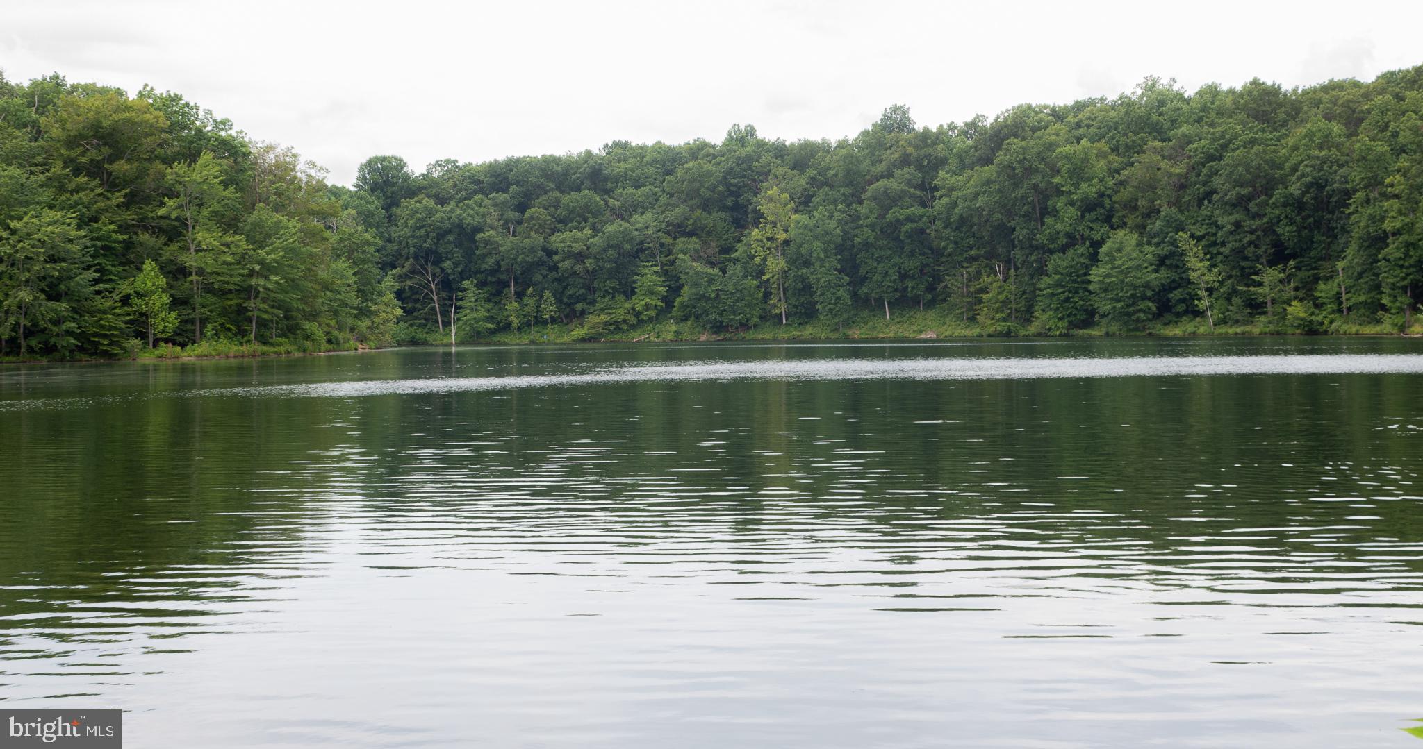 WATERS HOUSE - Residential