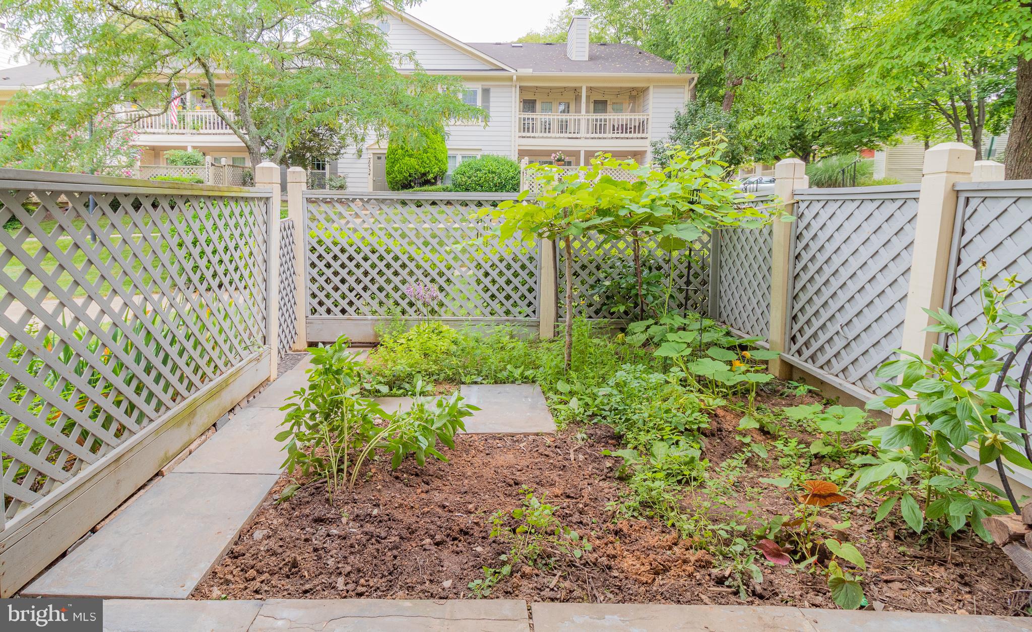 WATERS HOUSE - Residential