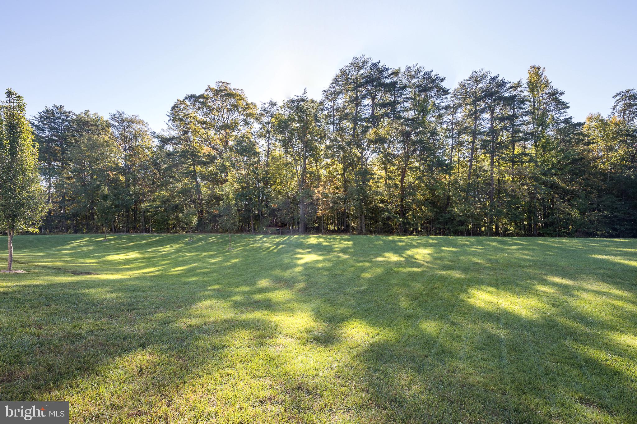 VINT HILL - Residential