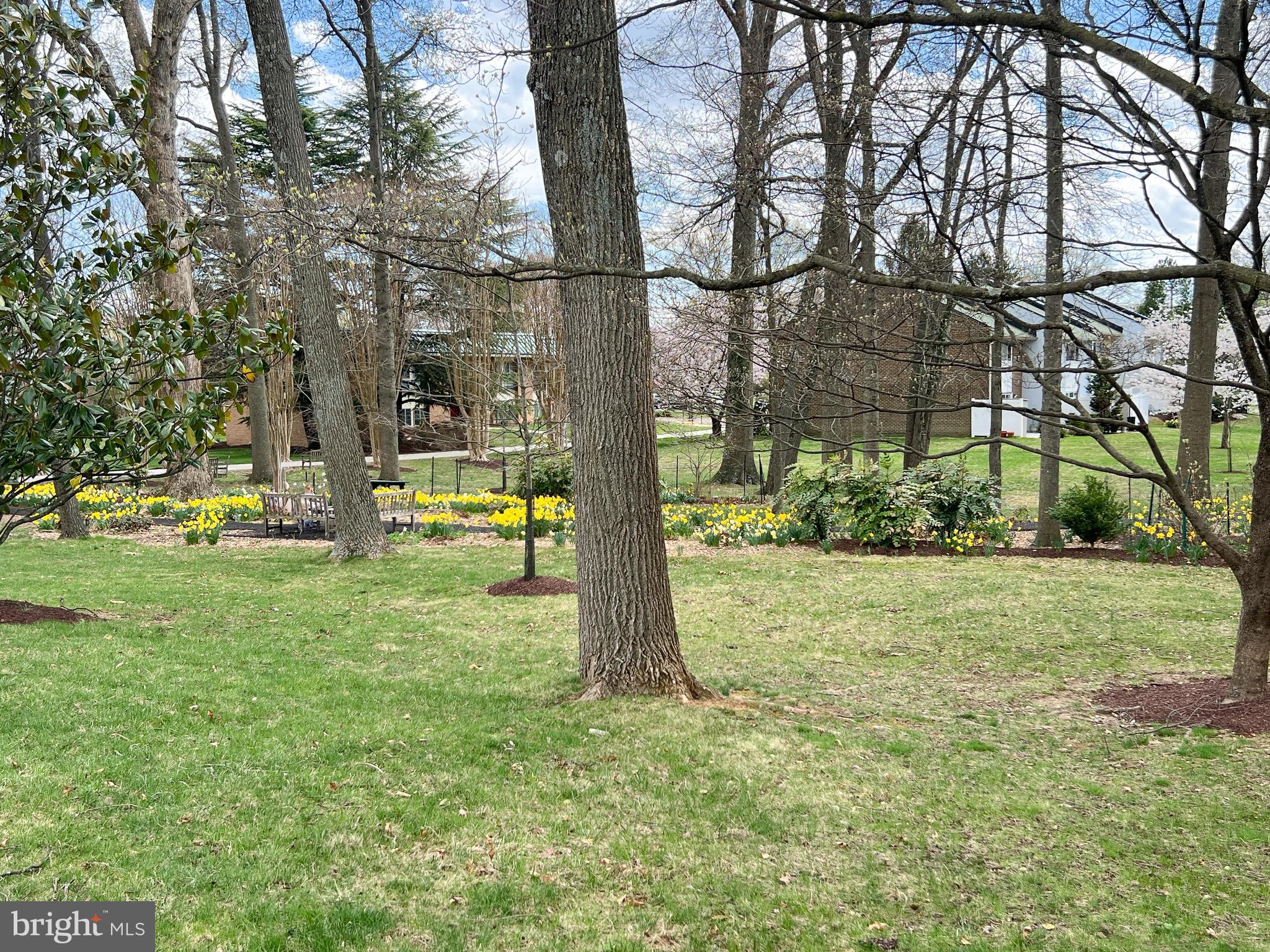 LEISURE WORLD - Residential