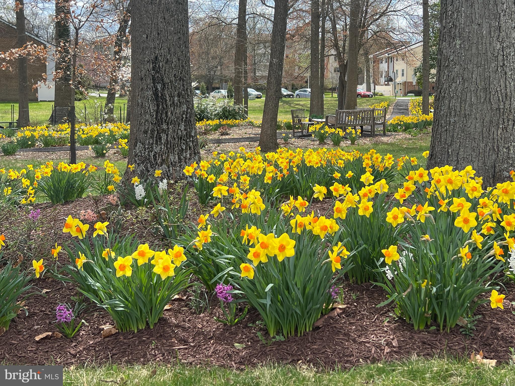 LEISURE WORLD - Residential