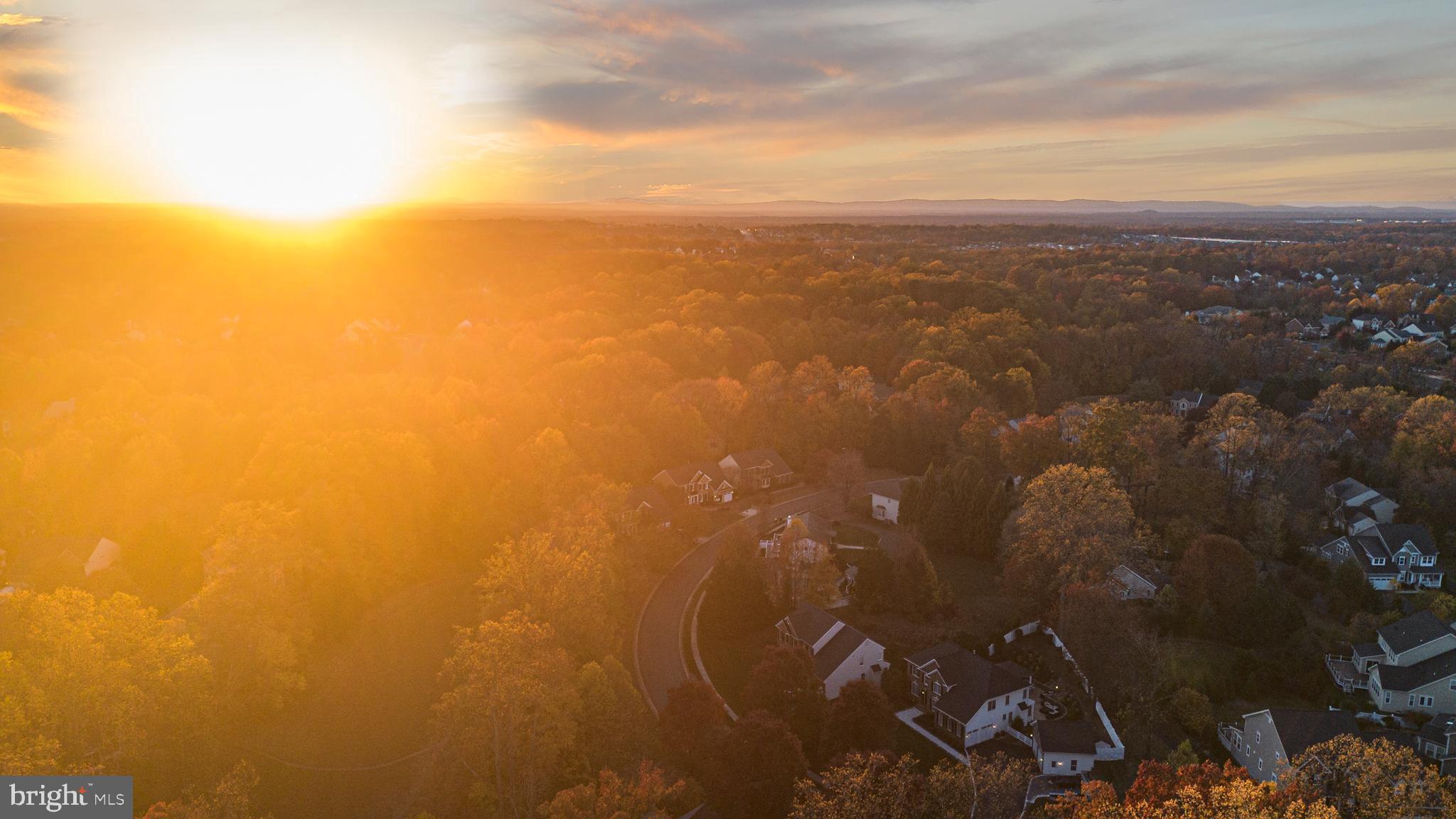 THE RESERVE AT HAMPTON SPRINGS - Residential