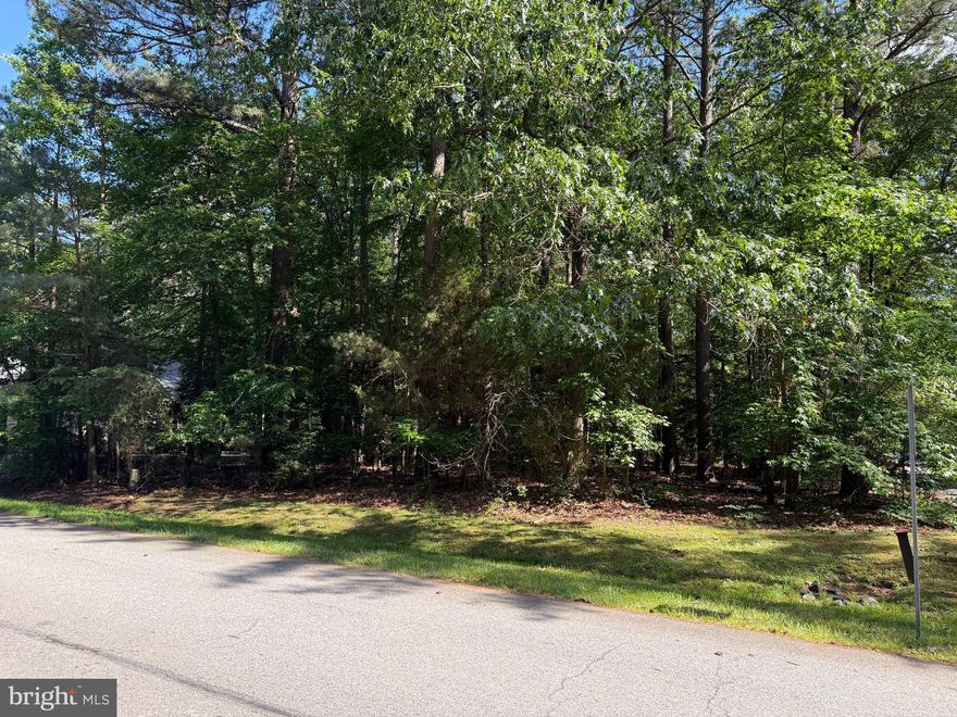 Build your own custom home on this wooded lot in Swan Point! A Southern Maryland community that offers waterfront Olympic-sized swimming pool, marina, boat ramp, playground, clubhouse with restaurant & bar, 18-hole golf course recognized as one of the top courses in the mid-Atlantic area, driving range, lighted tennis courts, pickle ball court, nature trails, picnic areas, Potomac River-front park, and more! Community activities such a book club, social club, golf club, yacht club, water aerobics, and more!