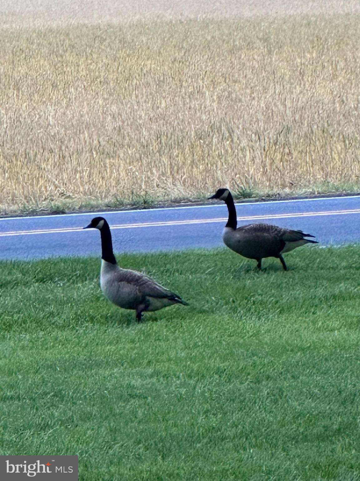 DEER HARBOUR - Residential