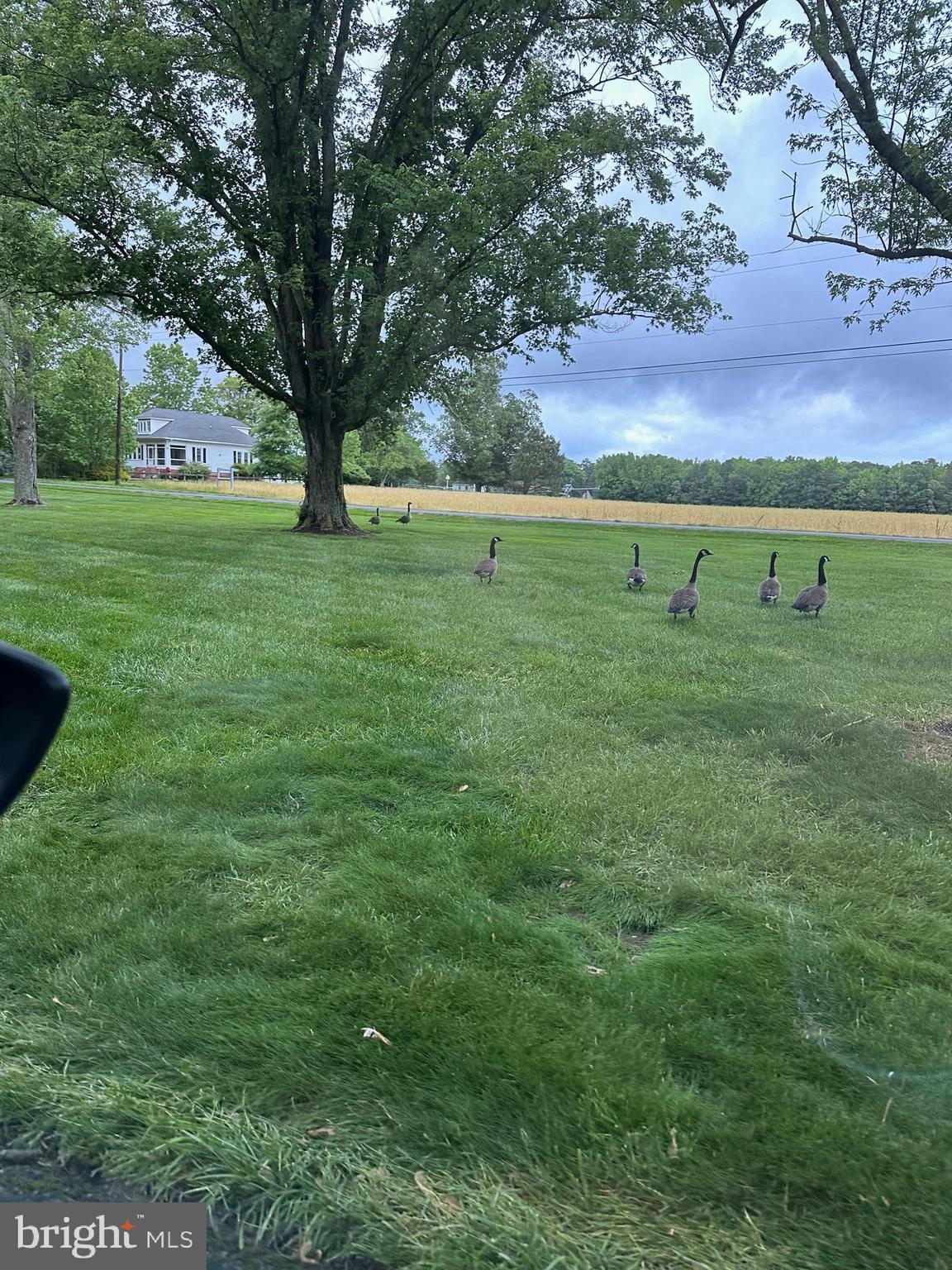 DEER HARBOUR - Residential