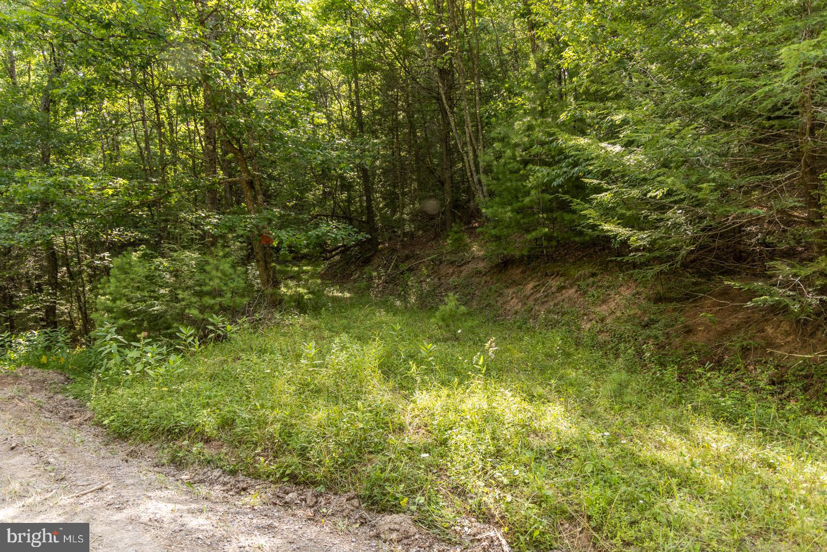 0 DOUTHARDS CREEK ROAD