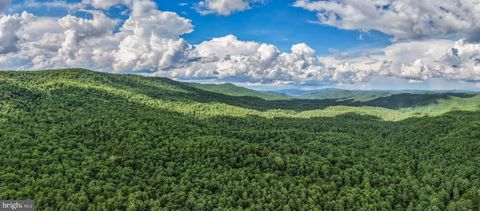 Vacant Land For Sale - Douthards Creek Road<br/> MARLINTON, WV 24954