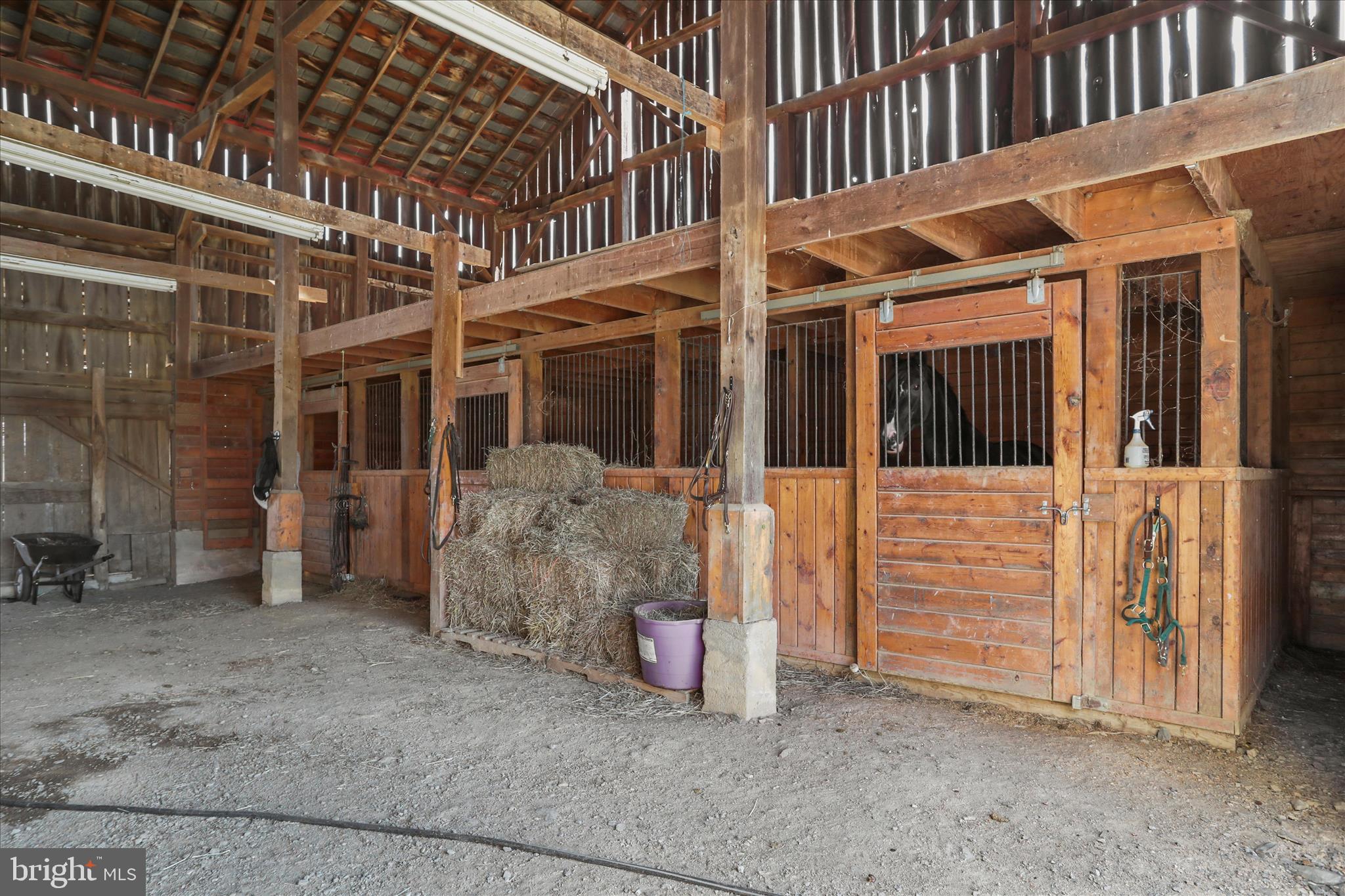 ROYSTON - Residential