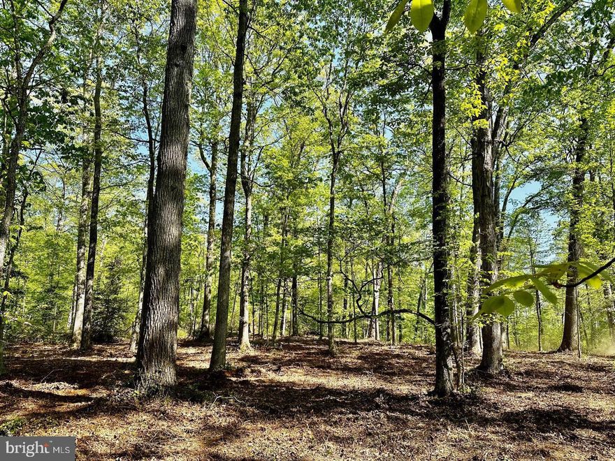 Take this opportunity to nestle your custom home into this charming wooded  lot. No covenants or restrictions. . Build your dream home now or purchase land now for future build. Private setting; heavily wooded, clear air and good country-living!

 Located  just minutes to I-66 and Historic Marshall and Little Washington 
Beautiful building lot. There are 3 building lots for sale by the same owner two 10 acre and one 5 acre.  Build now or later. Lots have been surveyed, and current perk test has been completed by Frazier Consultants working on Certification letter from  Fauquier County Environmental Health Department.  The perk will run with the land in perpetuity. 

A Road Maintenance Agreement is also being created.

 Located  just minutes to I-66 and Historic Marshall and Little Washington 

I have local builders that can build on these lots.