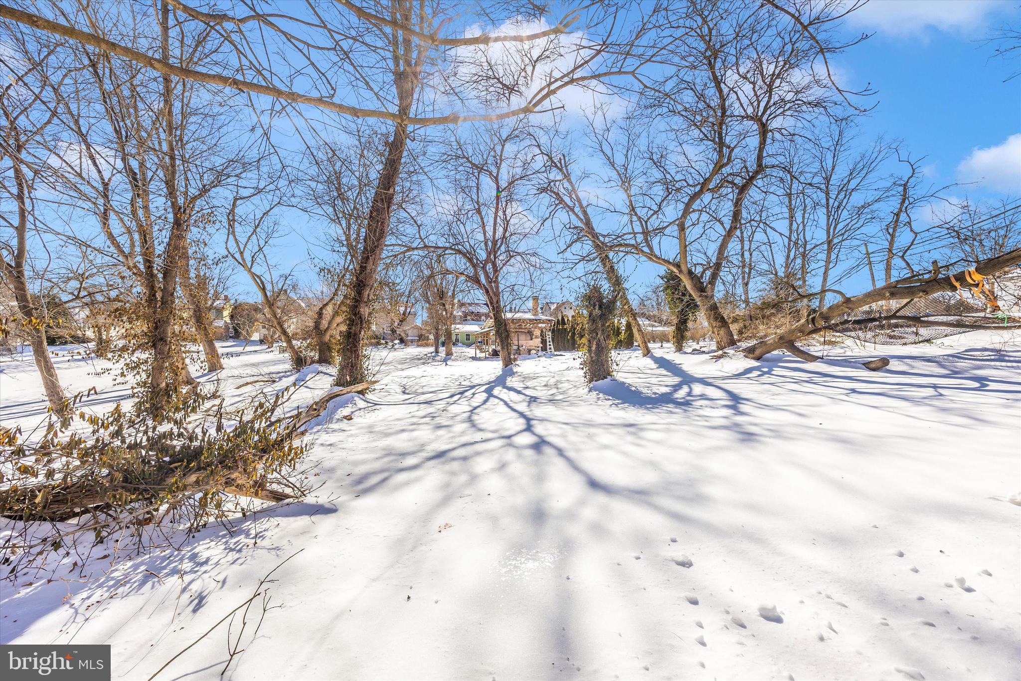 NEW MARKET HISTORIC DISTRICT - Residential