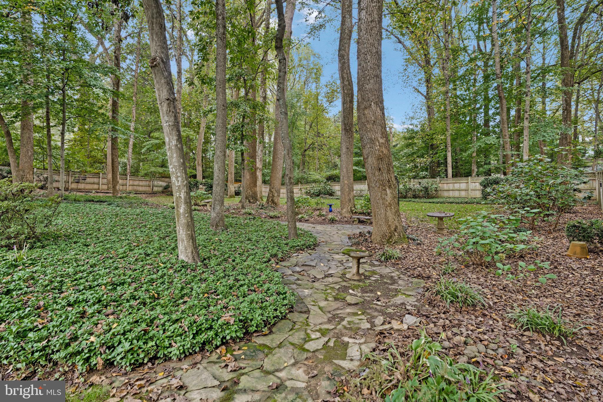 HICKORY HOLLOW FOREST - Residential