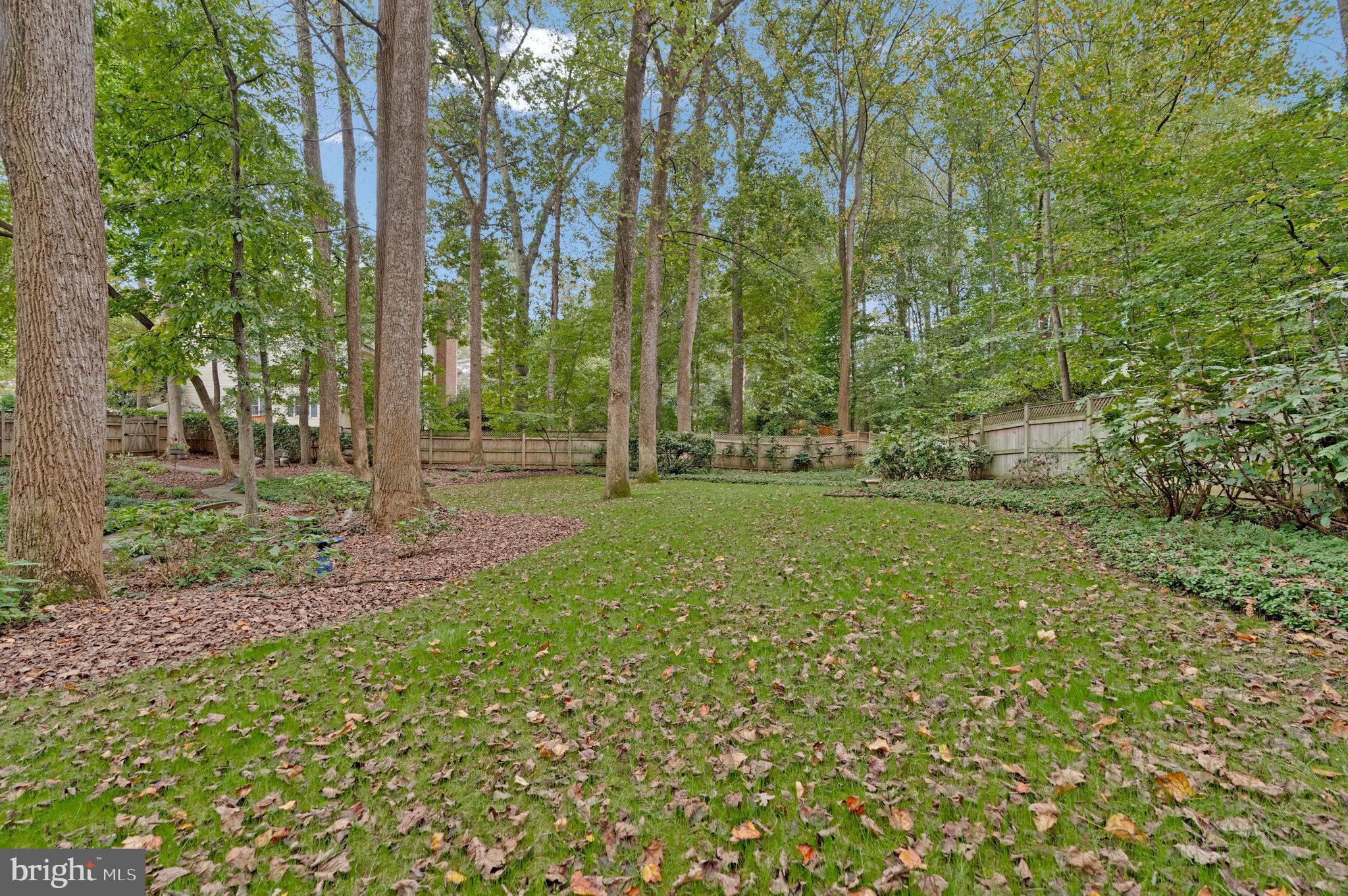 HICKORY HOLLOW FOREST - Residential