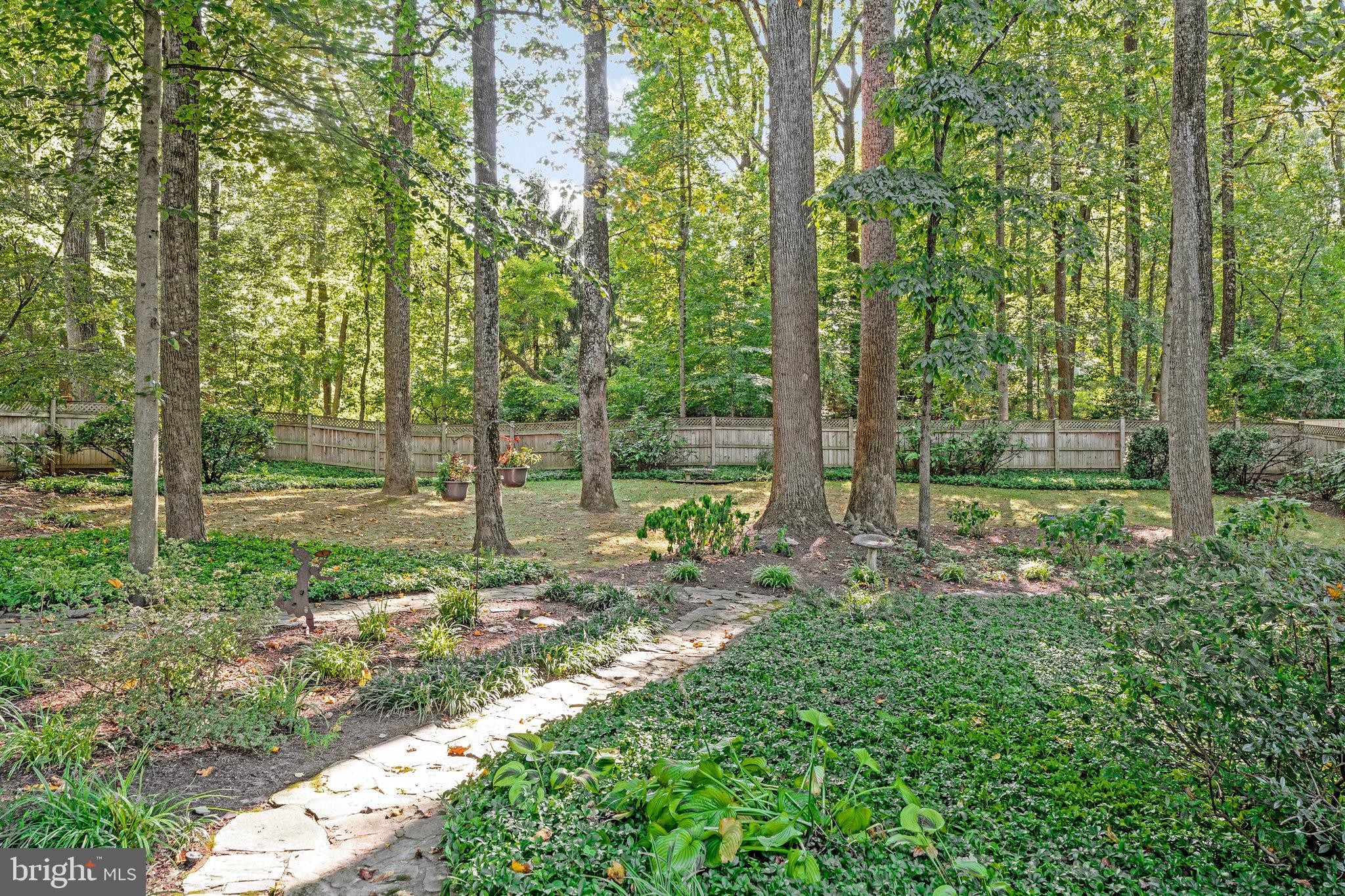 HICKORY HOLLOW FOREST - Residential