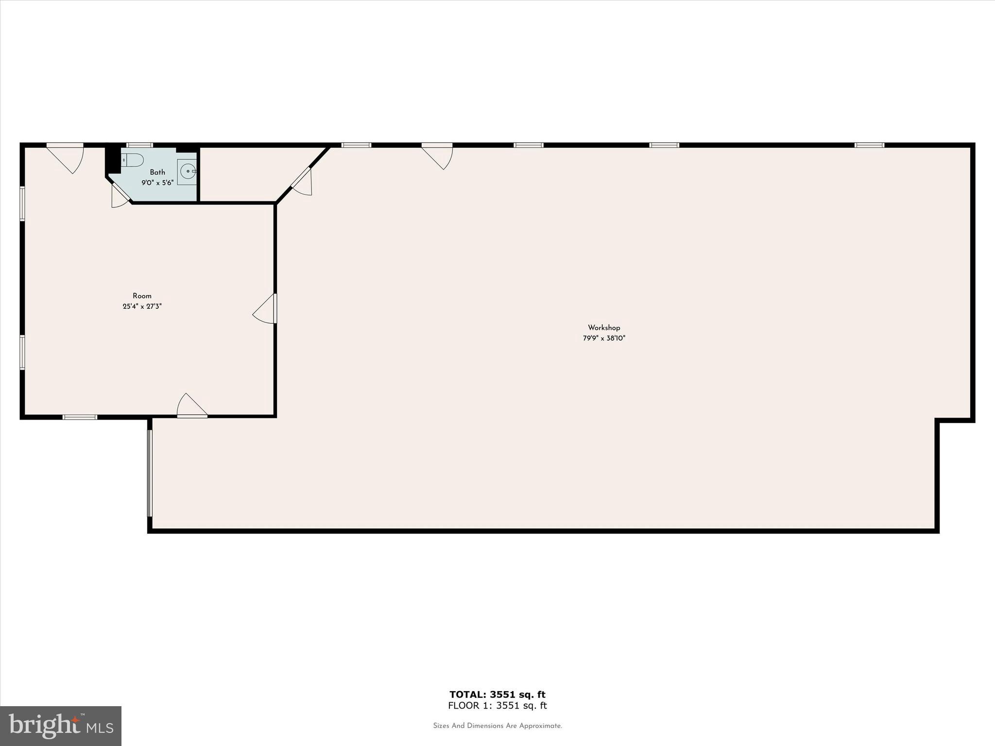 Main image without alt text