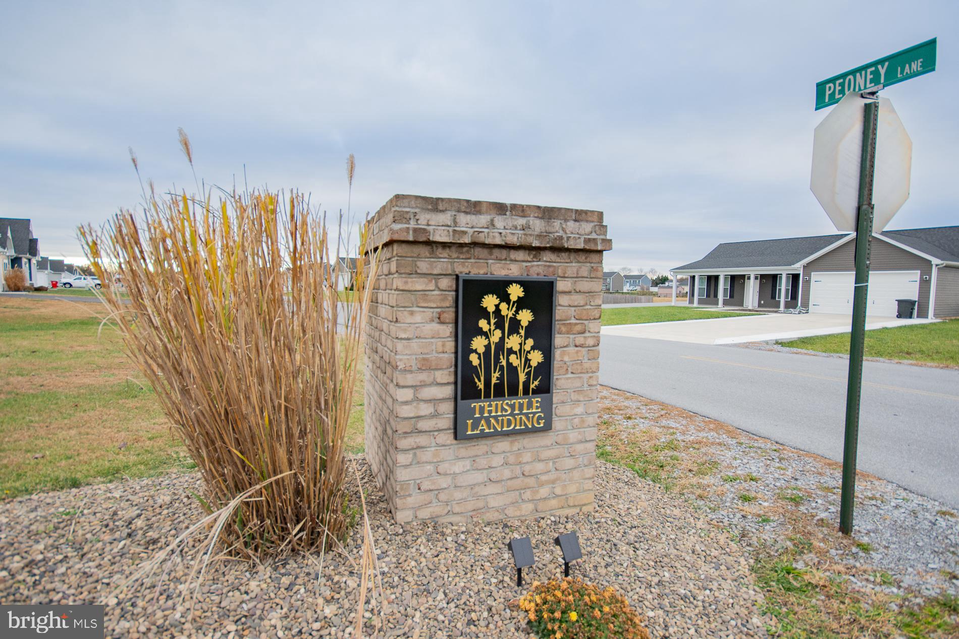 THISTLE LANDING - Residential