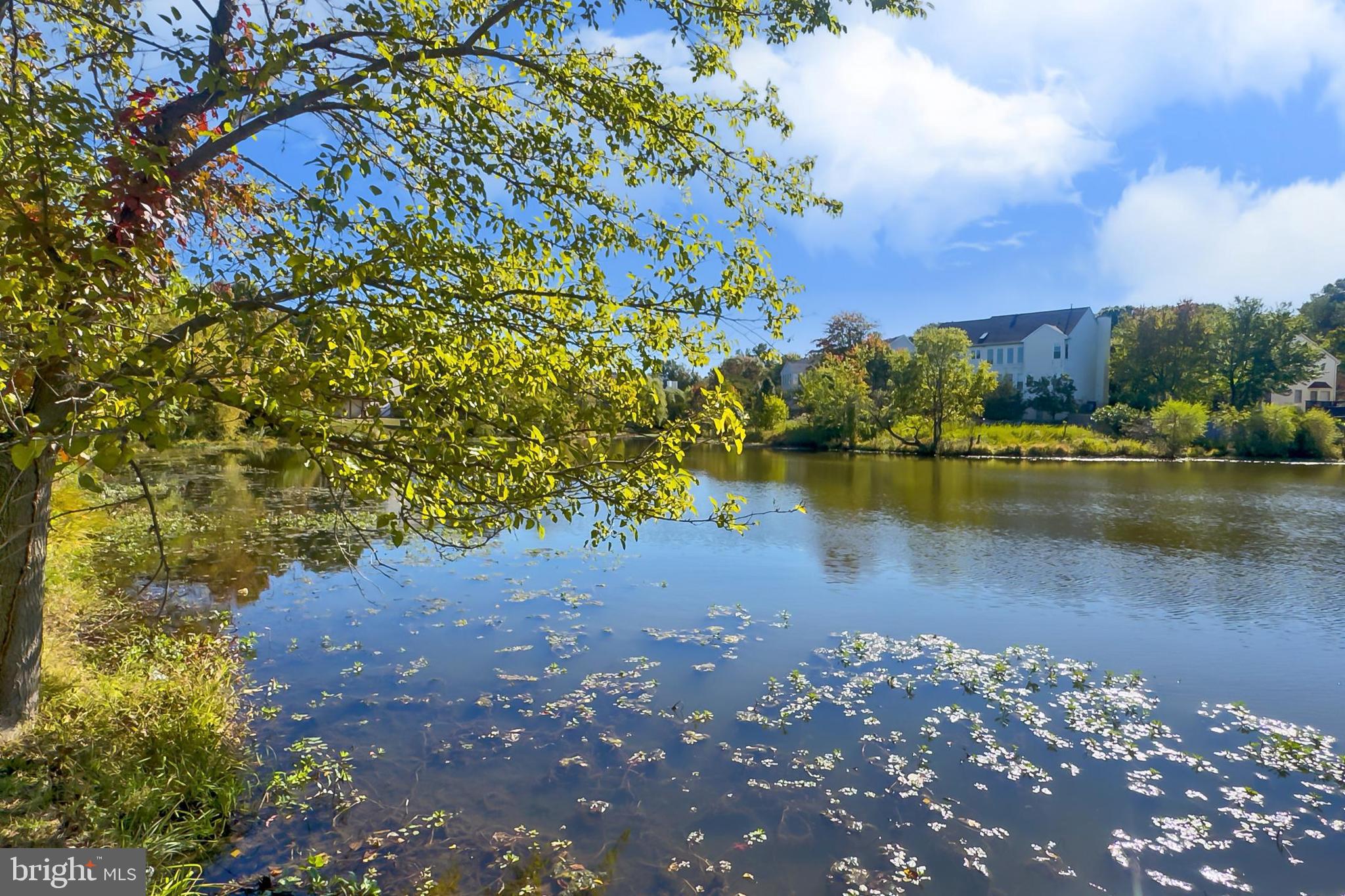 SYCAMORE LAKES - Residential Lease