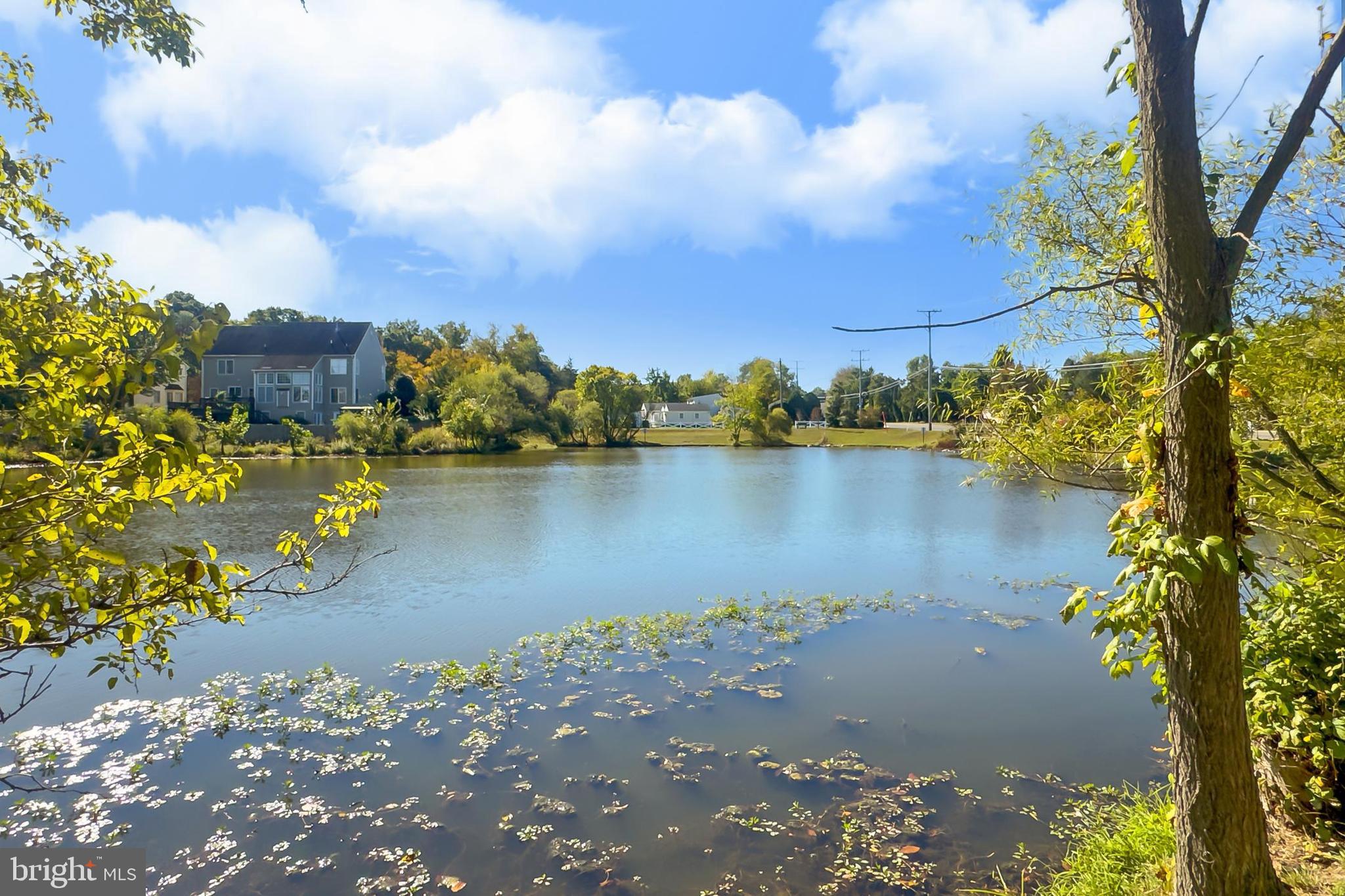 SYCAMORE LAKES - Residential Lease