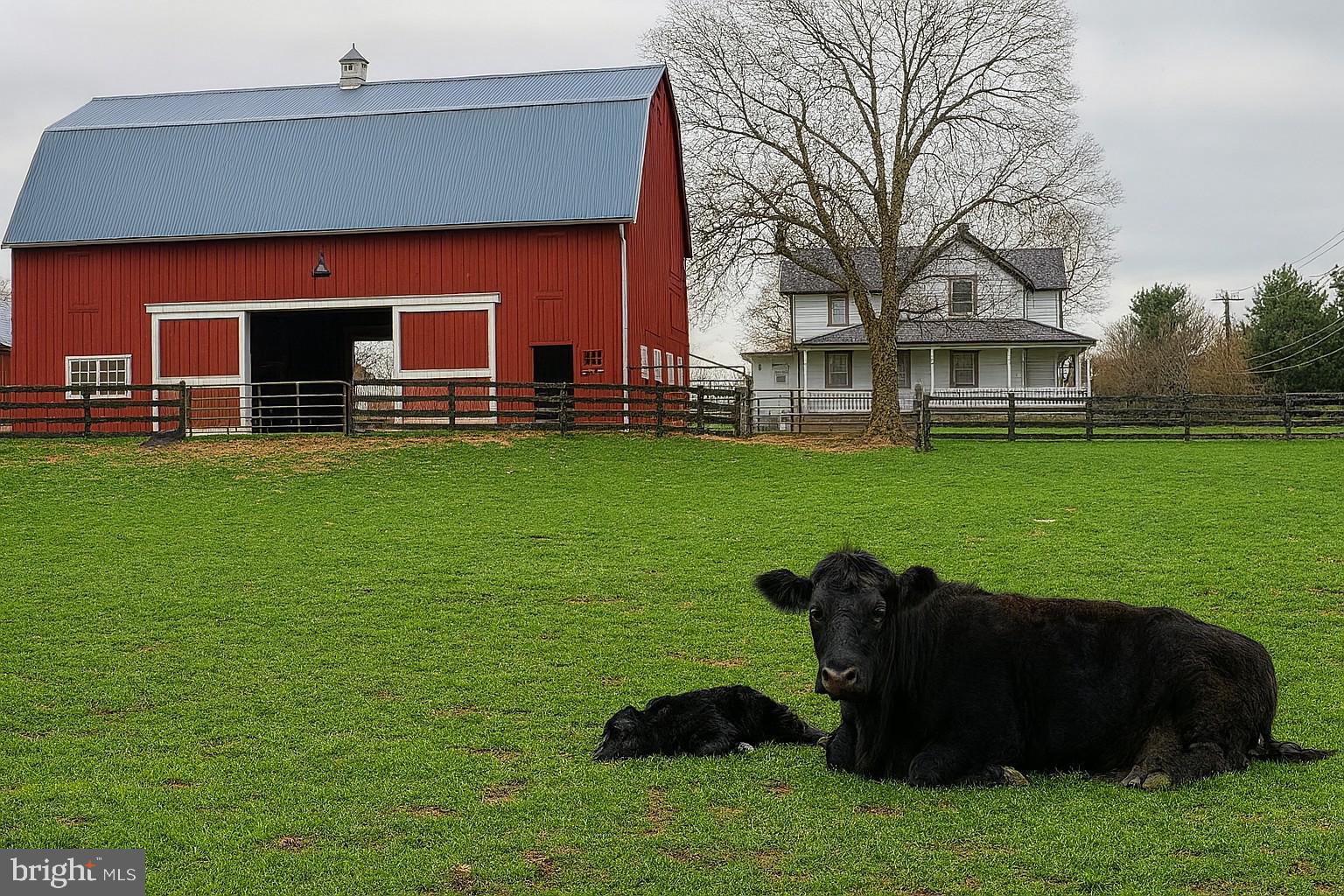 SYCAMORE LAKES - Residential Lease