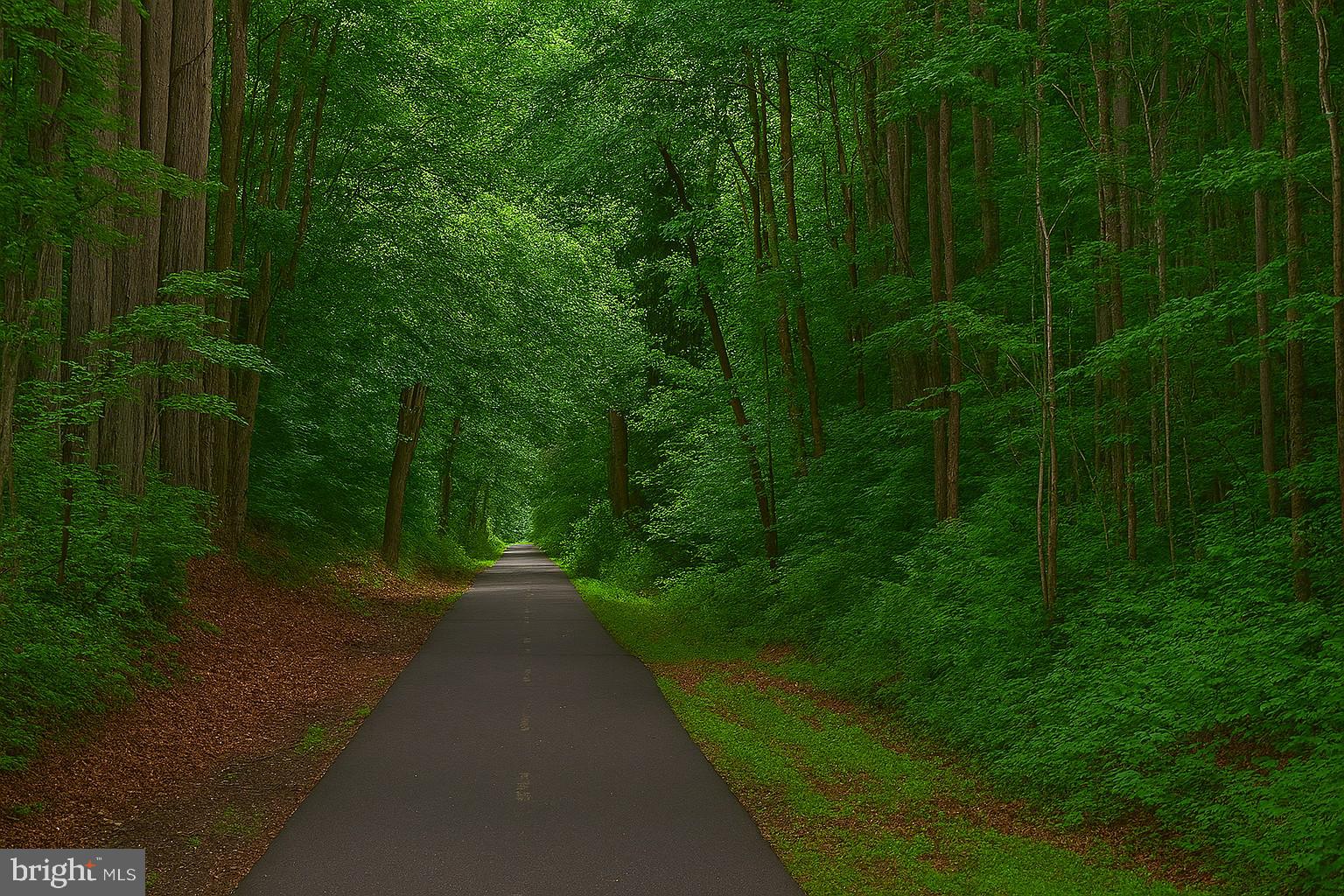 SYCAMORE LAKES - Residential Lease