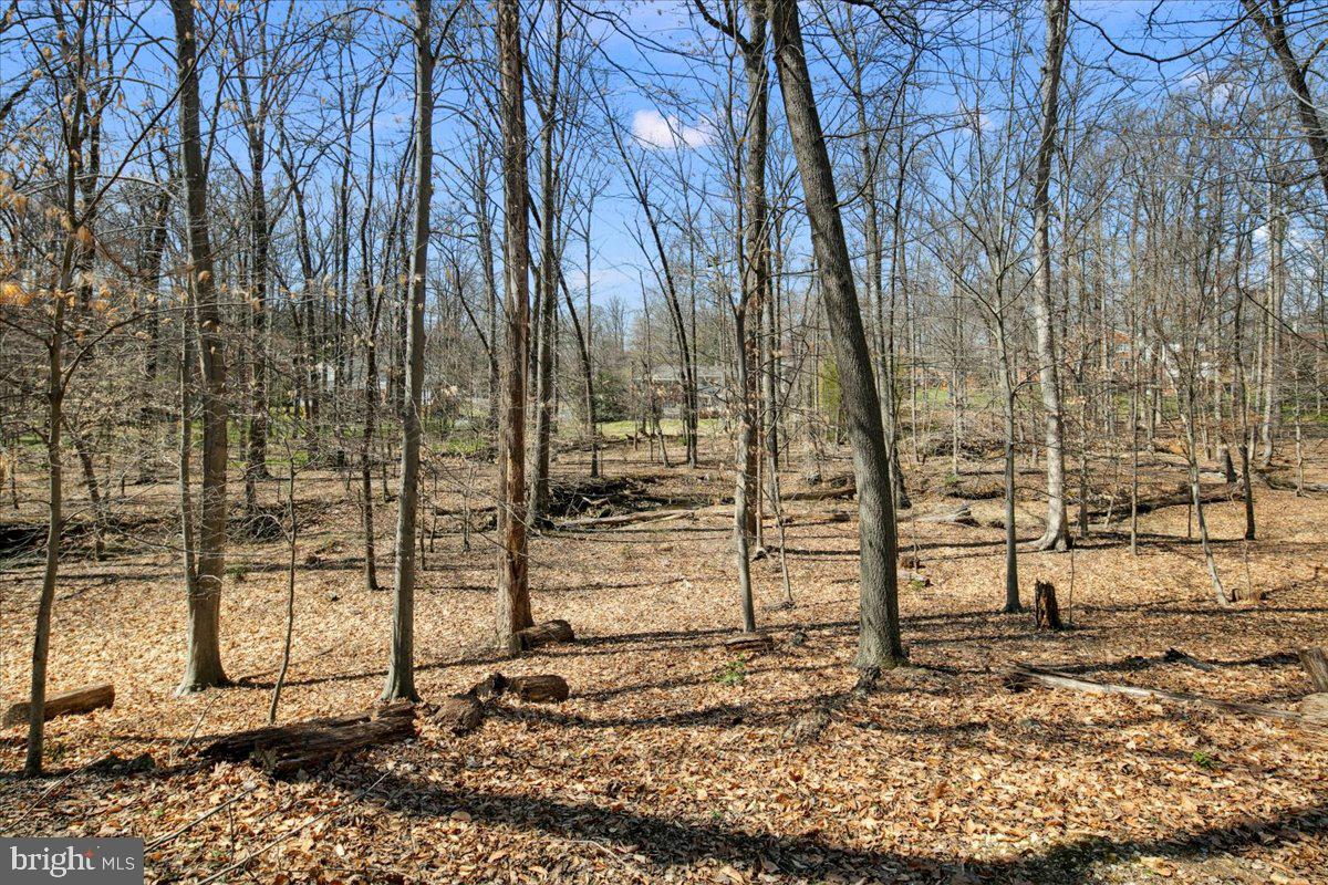 WILLOWBROOK - Residential