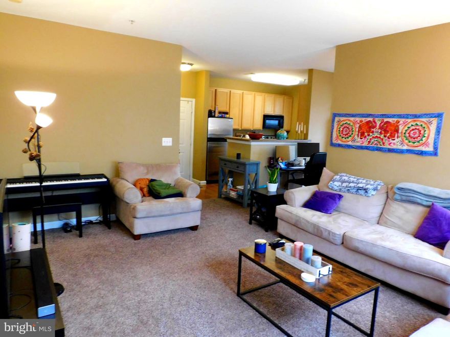 24 month lease and 700+ credit score required - No pets; No Smoking or Vaping - Conveniently located within walking distance of the Brambleton Town Center with Harris Teeter,  Regal Fox CinemasBlue Ridge Grill and so much more!  This beautiful ground floor condo has high ceilings throughout, Stainless Steel appliances, lots of windows and a private patio. Basic cable, high speed internet, water, sewer, and trash removal are included in rent.  HOA amenities include pool, sports courts and a car wash station which are included with rent.  Only 5 minutes to the Brambleton Park and Ride and 10 minutes from the Ashburn Silver Line Metro when it opens.  This property is served by Briar Woods HS.  Credit scores of 700 or greater are required.