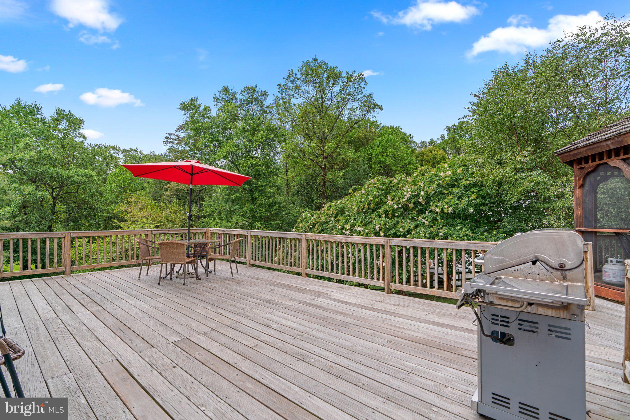 LAKEVIEW AT BUCKSKIN RIDGE - Residential