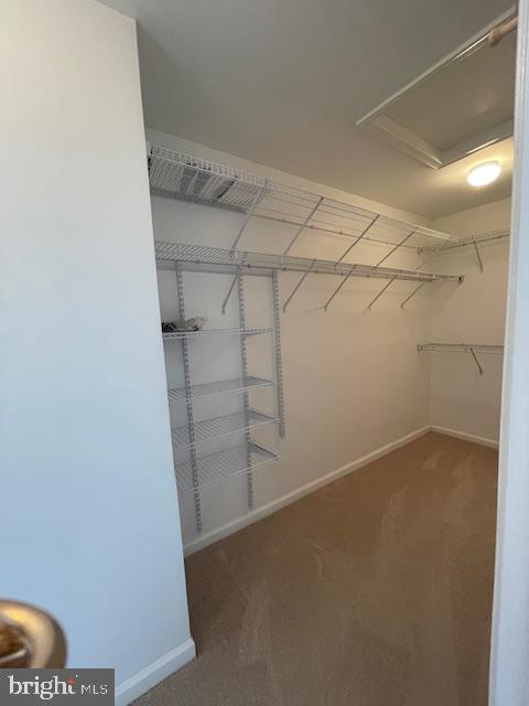 MONROE POINT - Residential Lease