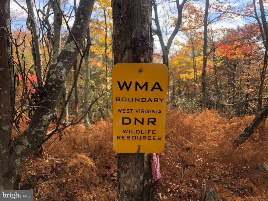 IT'S A DIFFERENT WORLD ON TOP......20 ACRES ELEVATED AT 3000 FT ATOP SOUTH BRANCH MOUNTAIN AND ADJACENT TO NATHANIEL MOUNTAIN WILDLIFE MANAGEMENT AREA, WHICH IS 10,000 ACRES OF PUBLIC HUNTING LAND OWNED BY THE STATE OF WV....AND THERE ARE SEVERAL HUNDRED ACRES OF GENTLE STATE LAND ON TOP OF THE MOUNTAIN TO ROAM & HUNT THAT'S FAR FROM ANY PUBLIC ACCESS.....YOU'LL PRACTICALLY HAVE IT ALL TO YOURSELF. EASY TO BUILD ON, POWER & PERKED, DRIVEWAY INSTALLED TO CAMP/BUILD SITE. MASSIVE NORTHWESTERN VIEWS WITH SOME TREE REMOVAL. LOCATED IN THE PRESTIGIOUS 10,000 ACRE GATED COMMUNITY ASHTON WOODS, A ONE OF A KIND PLACE, WHERE YOU CAN ESCAPE THE WORK & WORRY OF THE BIG CITY AND TICKLE ALL YOUR OUTDOOR FANCIES....20 MINUTES FROM WAL MART, RESTAURANTS, 4 LANE SUPER HIGHWAY AND MULTIPLE PUBLIC ACCESS POINTS ON THE SOUTH BRANCH OF THE POTOMAC RIVER, 45 MINUTES FROM SKI RESORTS AND AN EASY 2 HOUR DRIVE FROM NORTHERN VIRGINIA. IF YOU LIKE THE OUTDOORS, YOU'LL NEVER GET BORED. TO SAY PROPERTIES LIKE THIS ARE RARE, WOULD BE A GROSS UNDERSTATEMENT....IF YOU LIKE LIVING YOUR LIFE ON TOP AND LOOKING DOWN ON CREATION....YOU'LL FEEL RIGHT AT HOME!